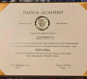 buy Padua Academy certificate