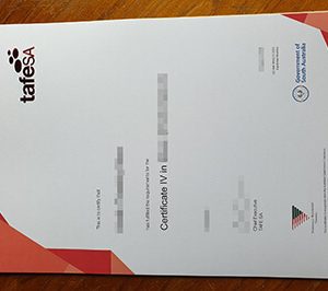 make TAFE South Australia certificate