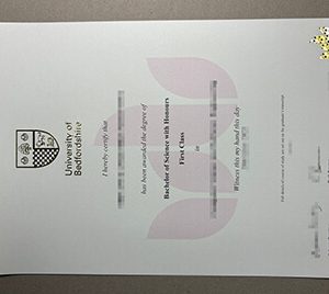University of Bedfordshire transcript