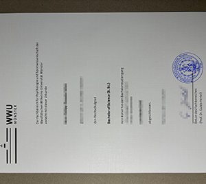 University of Münster certificate