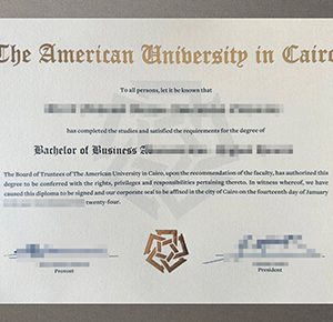 American University in Cairo diploma