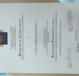 Dublin City University diploma