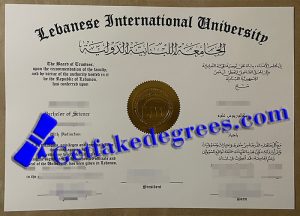 Lebanese International University degree