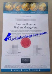 Limkokwing University of Creative Technology degree