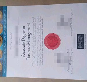 Limkokwing University of Creative Technology diploma