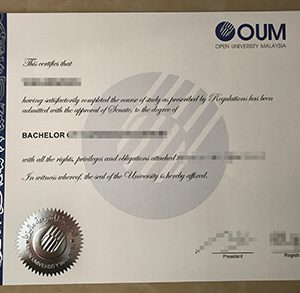 Open University Malaysia diploma