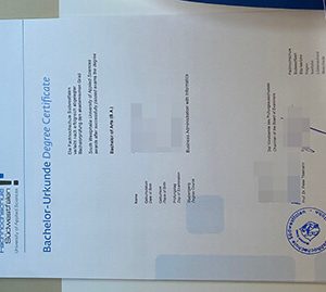 South Westphalia University of Applied Sciences diploma
