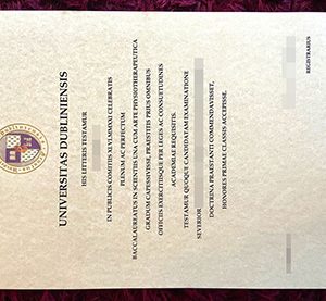 Universitas Dubliniensis diploma