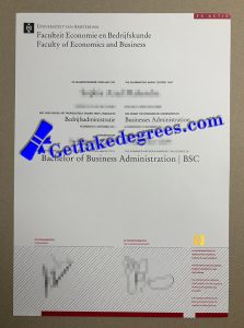 Universiteit Van Amsterdam degree
