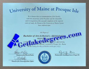 University of Maine at Presque Isle degree
