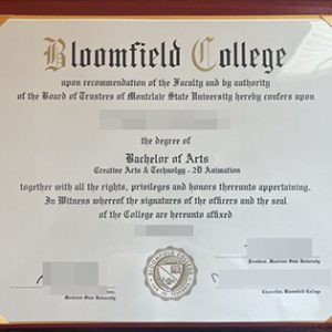 Bloomfield College degree