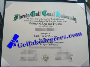 Florida Gulf Coast University degree