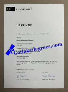 OTH Regensburg Urkunde