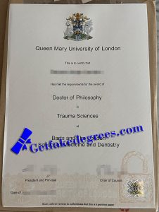 Queen Mary University of London degree