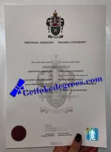 Swansea University degree
