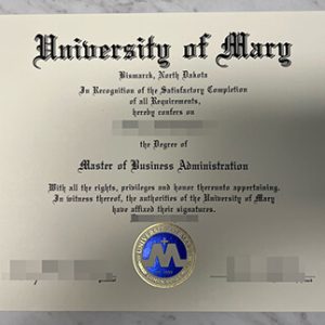University of Mary degree