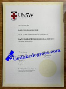University of New South Wales degree