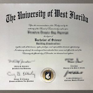 University of West Florida degree