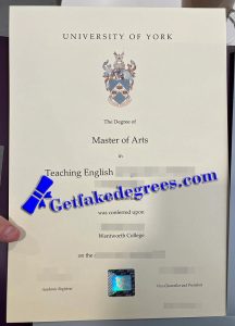 University of York degree