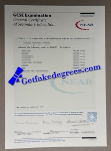 GCSE Examination transcript