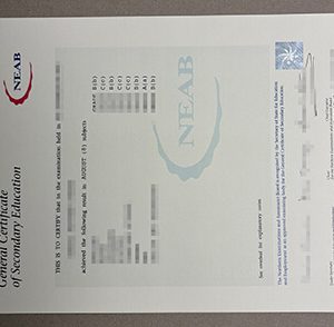 NEAB GCSE Examination transcript