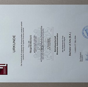 Hochschule Landshut Urkunde
