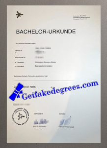 RheinMain University of Applied Sciences degree