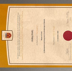 Institute of Technology Carlow diploma