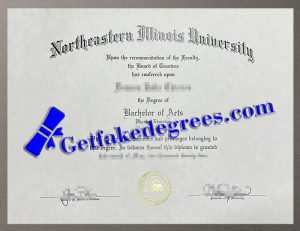 Northeastern Illinois University degree