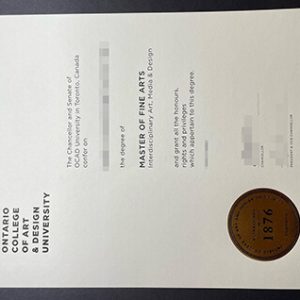 Ontario College of Art Design University degree
