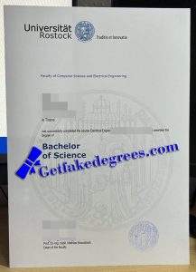 University of Rostock degree