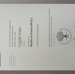 Ariel University diploma