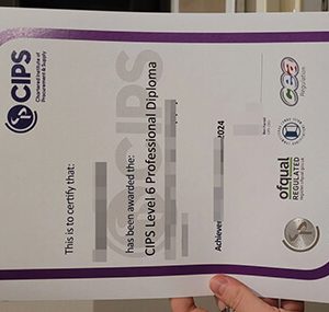 buy CIPS Level 6 Professional diploma