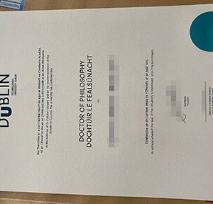 Technological University Dublin certificate
