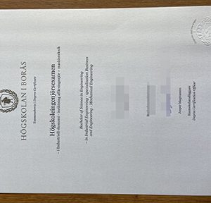Högskolan i Borås degree