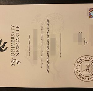 University of Newcastle transcript