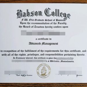 Babson College diploma