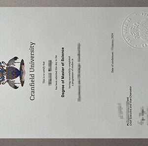 Cranfield University diploma
