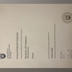 University of Wollongong in Dubai diploma