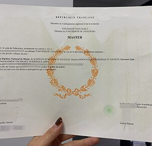 Université Toulouse 2 diploma