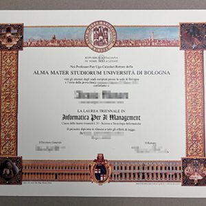 Università di Bologna diploma